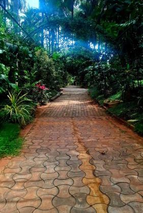 NesaraVana - Ecostay