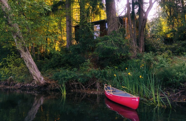New Build Lakefront Cabin w/Sauna, Wood Stove, Canoe/Paddleboards
