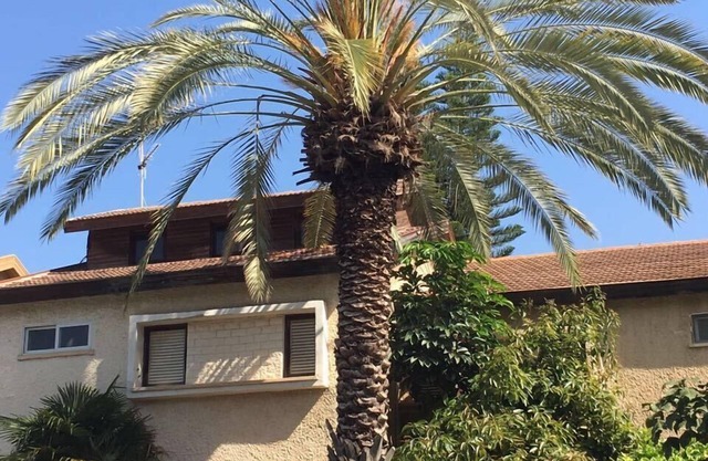 New Studio near IDC in Herzelyia Center