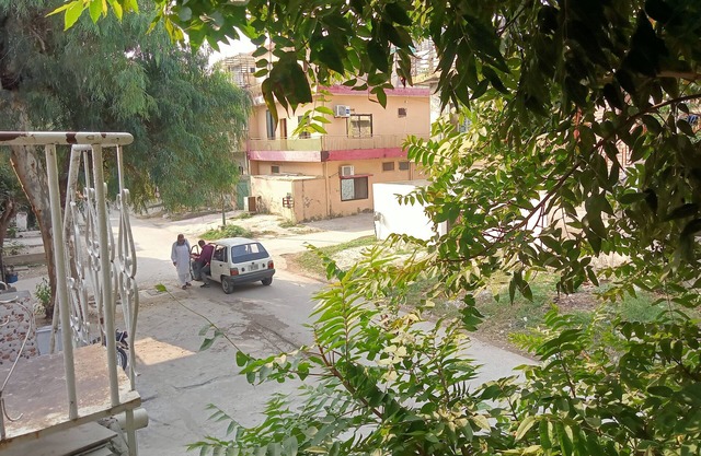 New White Rose Guest House