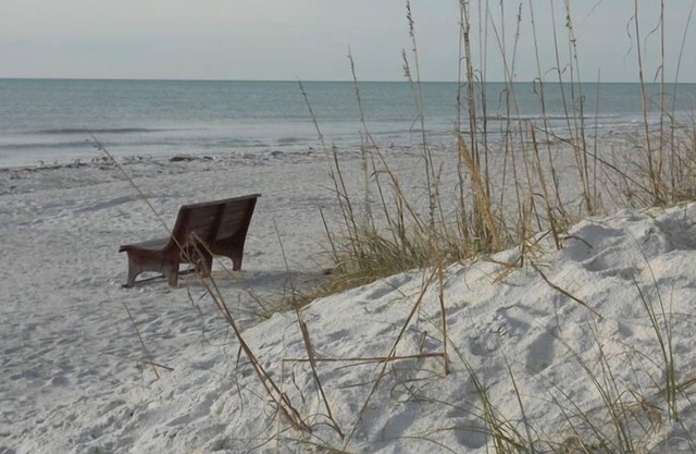 Newly Renovated Largest Belleview Unit Size Condo- Waterfront W/ Beach Access!**