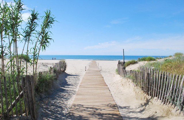 Nice 2 rooms - CENTER Montpellier - Au petit Thaï