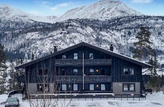 Nice apartment in Hemsedal with sauna