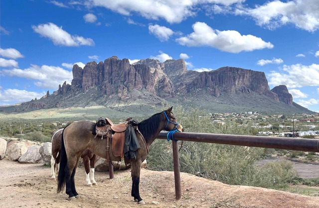 Nice home in Apache Junction