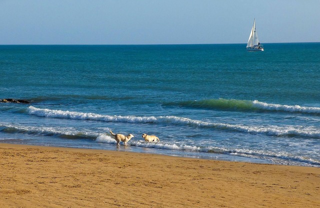 Nice home in Noto with WiFi