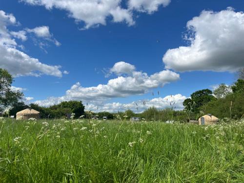 Nordic Glamping at Botswicky - a nature based retreat