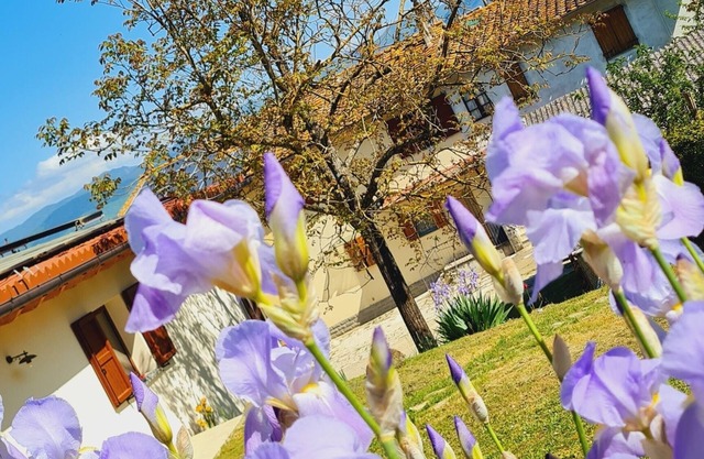 Oasi di serenità, pace e tranquillità, immersa nel verde del Mugello