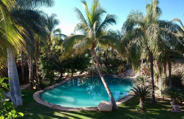 Oasis in San Jose del Cabo: Jardin Tropical
