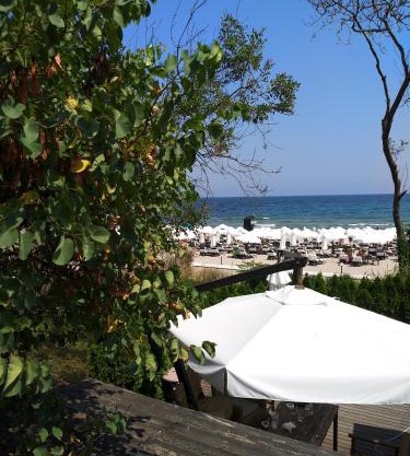 Oasis Resort 