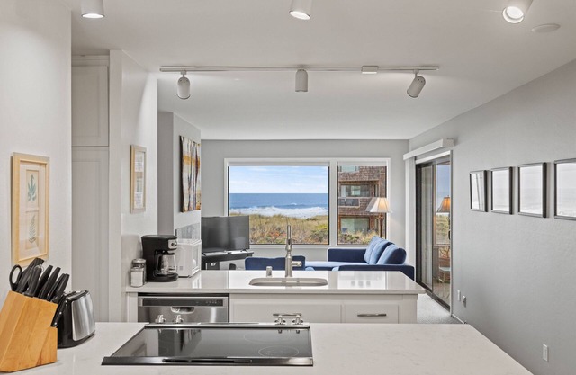 Ocean Front Condo Shorebirds 55