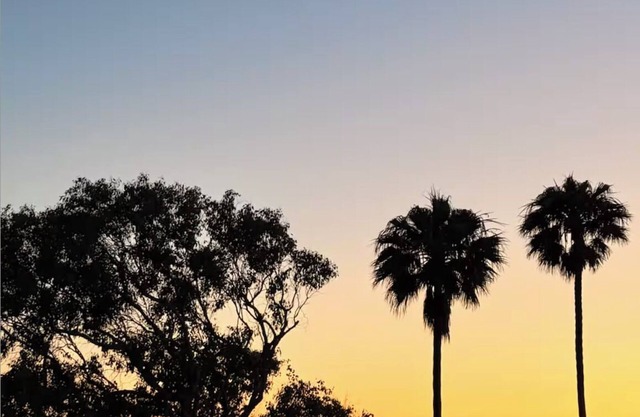 Ocean-View 2-Bedroom Condo — Your Serene Malibu Retreat