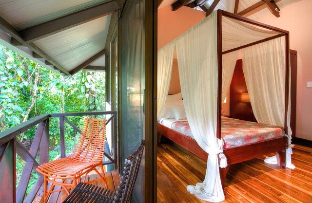 Ocean view luxury property with pool in the jungle at 300 m from the beach.