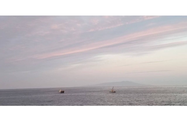 Ocean view spreading in front of you A starry s/Kamo-gun Shizuoka