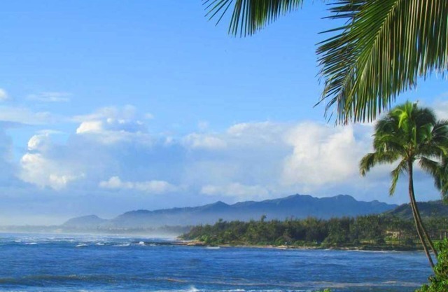 Oceanfront Studio with Panoramic Views - Kapa'a Sands 09