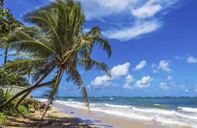 Oceanside Estate - Spacious home with Pool & AC