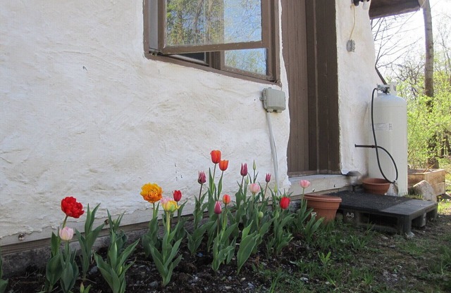 Off Grid Waterfall Cottage