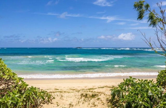 Ohana Adventure🌺 3 Beach front properties