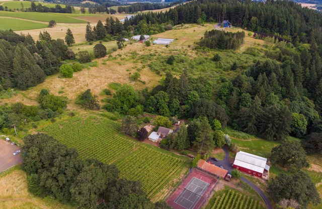 Old Farm: A Modern-day 5-bedroom Farmhouse on Vineyard with Hot Tub!