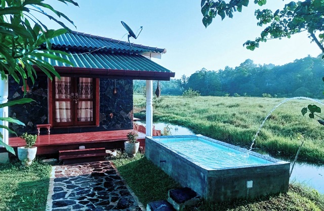 One day in the middle of a lovely paddy field