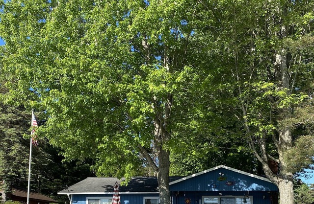 One Polski Cottage on Intermediate Lake