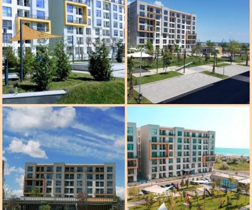 Onix blue mamaia nord