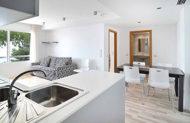 ORNIS "Cusisacs": 1 Bedroom+Sofa-bed 2/4 pers, windows sea view