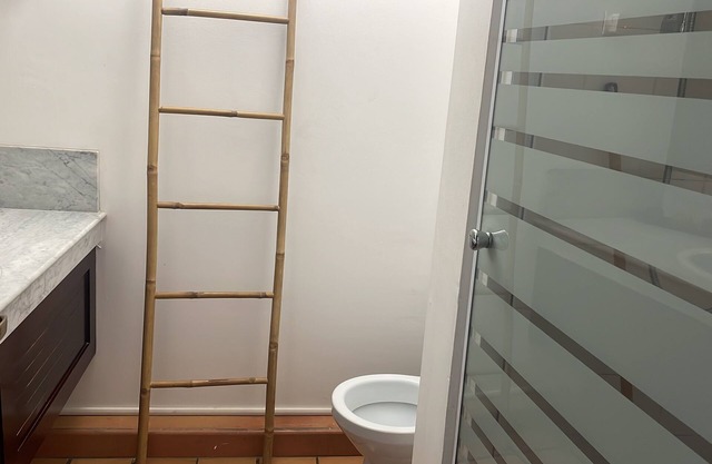 Pakitartane Proche des Plages du Nord de la Martinique