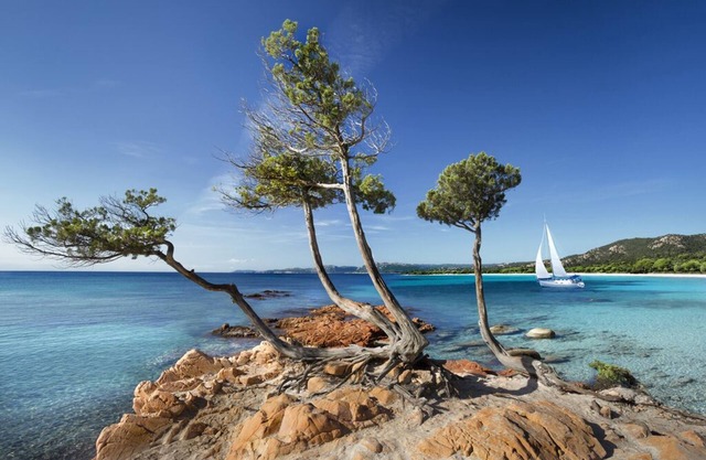 Palombaggia: At Palombaggia : Residential Flat in a Charming Residence