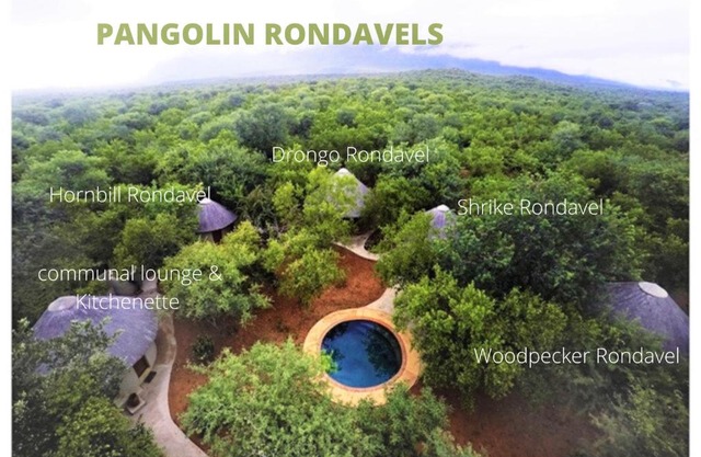 Pangolin Rondavels - Shikwari Nature Reserve