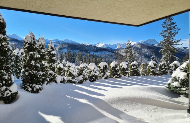 Panorama Tatr Scenic Apartment with Terrace and Breathtaking View