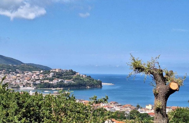Panoramic apartment, sea view
