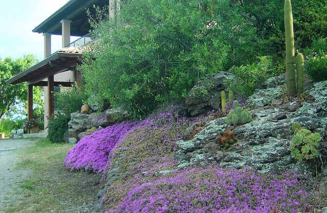 Panoramica Villarosa