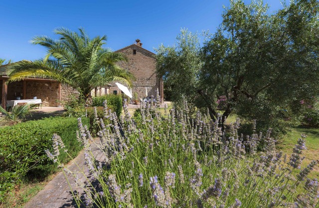 PAPAVERO - IL VECCHIO MULINO