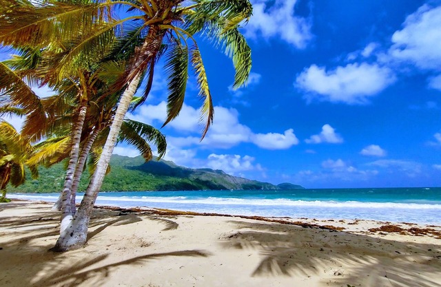 Paradise by the Sea,Playa Coson,Villa with Pool and Bungalow,9,NEW LIST DISCOUNT