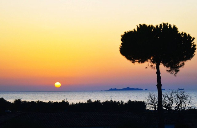 Paradisu Natura Bord Plage Vue 