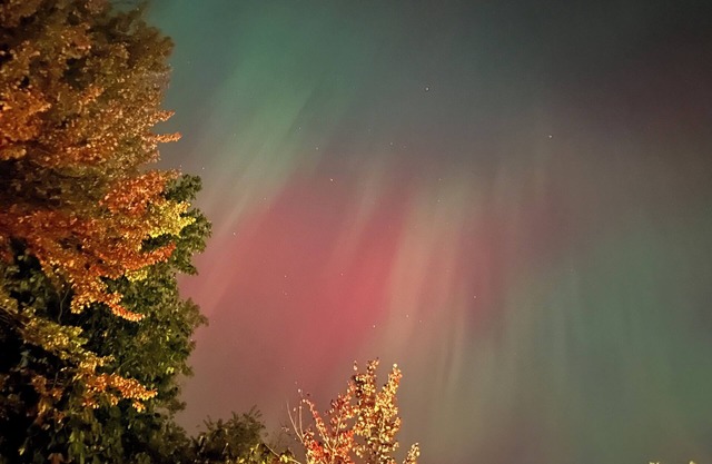 Peaceful cabin hideaway with fire pit & hot tub only 3 blocks from Walloon Lake