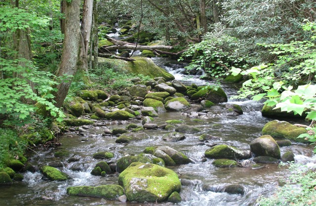 Peaceful Creekside Cabin near Gatlinburg/Pigeon Forge - PRICE MATCH RATES