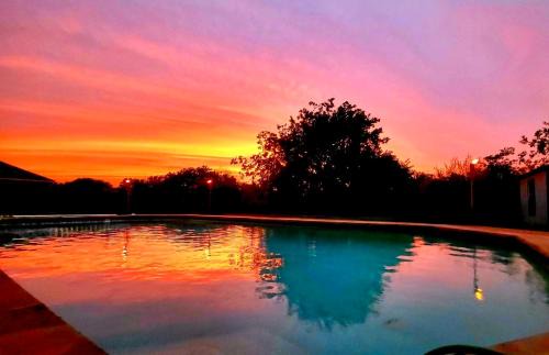 Peaceful Family Retreat Near AT&T Stadium, Texas Rangers, Six Flags, Epic Waters Indoor Waterpark, DFW Airport & More!