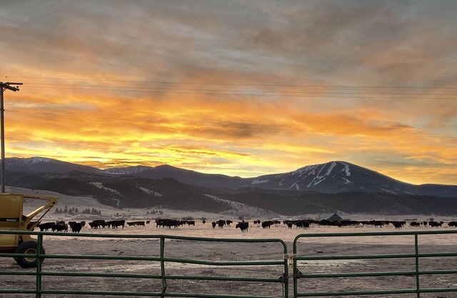 Peaceful Montana Ranch Stay. Close to skiing, hiking