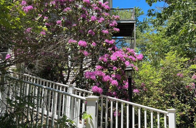 Peaceful retreat among the trees only a five minute walk to Perkins Cove