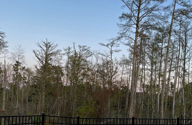 Perfect Retreat for Two: Hot Tub, Firepit, Total Privacy, Near Beaches, Downtown