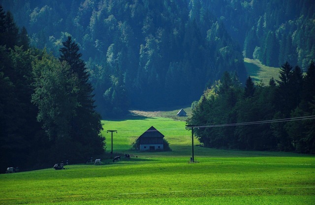 Perfectly precise with a modern design in Beaverton