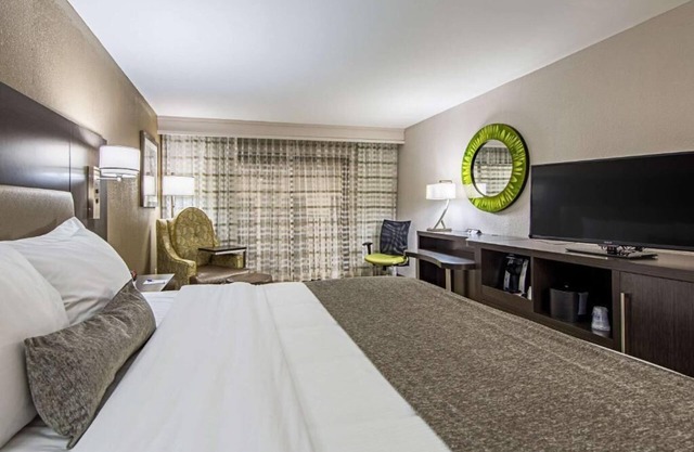 Pet-Friendly Hotel Perfect for Family & Business Stays | Near Dowtown