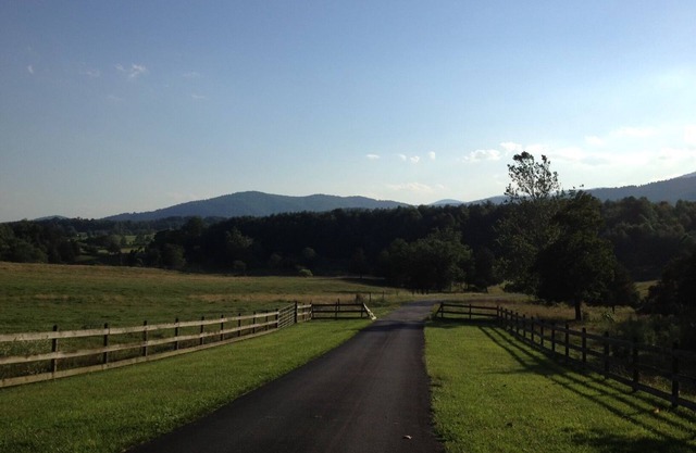 Pete's Place: Forest retreat near wineries, Blue Ridge School, and Shenandoah NP
