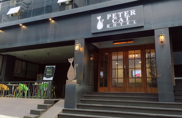 Petercat Hotel Sinchon(Hongdae)
