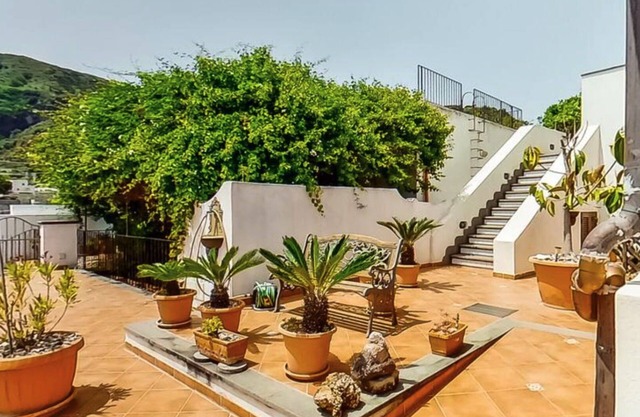 Phoinikodes By Halldis