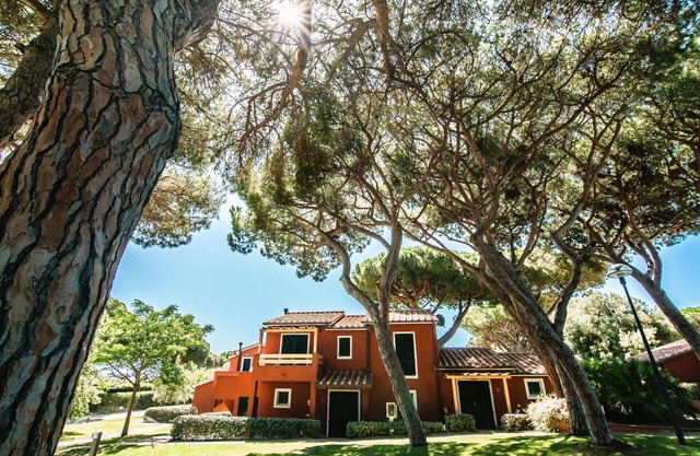 Pineta studio apartment 3 beds second floor