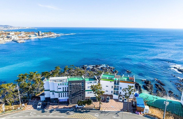 Pohang Pinewave Sea & Spa Pension