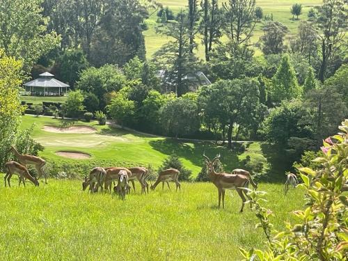 Precious, Peaceful 3bedroom, 6 sleeper family home!