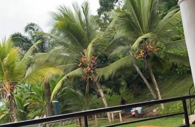 Prestige Beach Residence